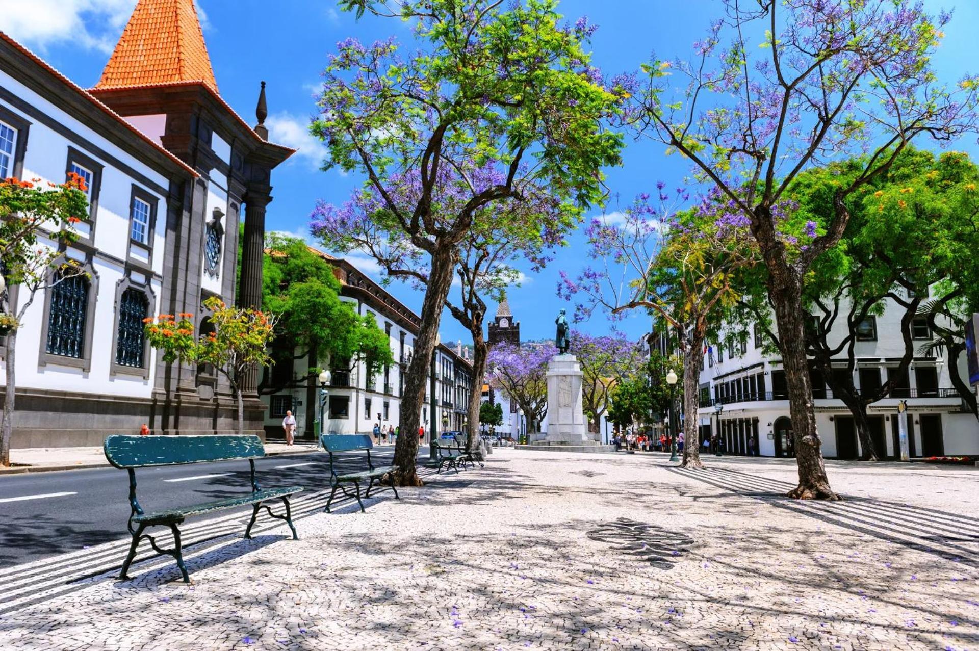 Stylish Apartment With Balcony And Amazing Views Over Funchal And The Sea 外观 照片